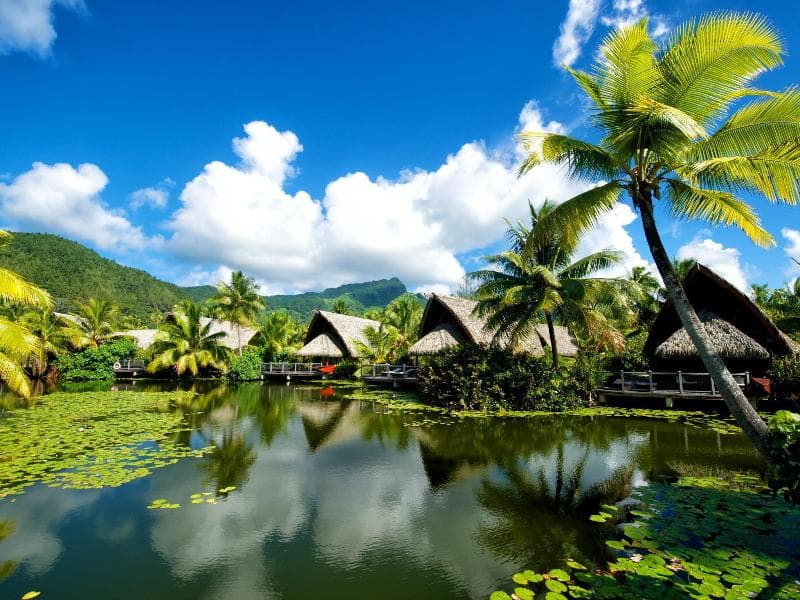 Maitai Lapita Village Huahine 3