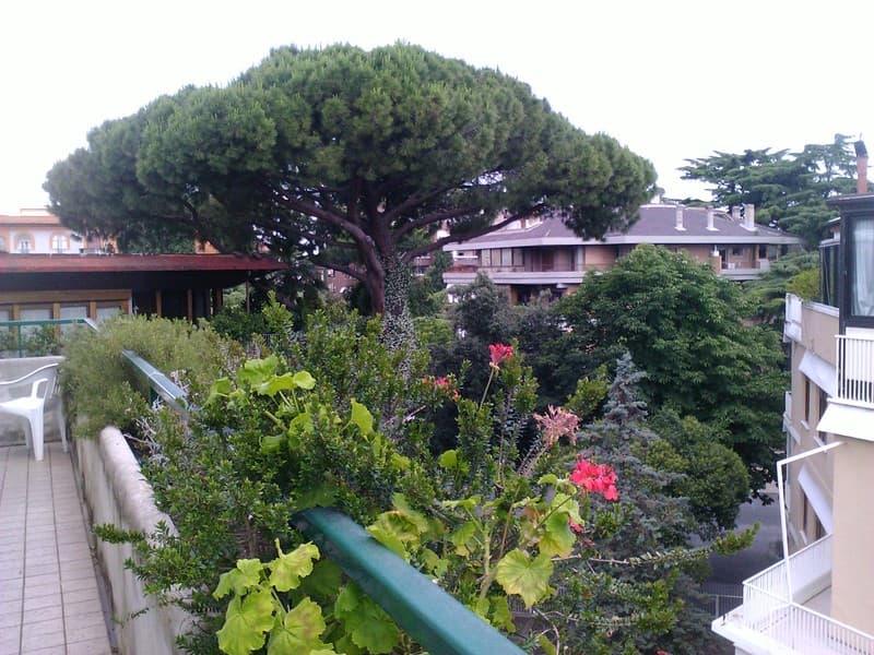 Residence Prati main