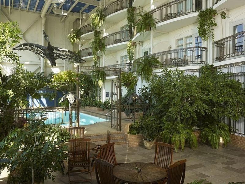 Hotel L'oiseliere Levis 2