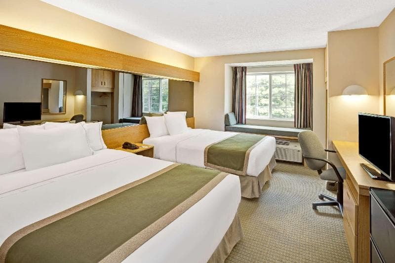 Microtel Inn & Suites By Wyndham Raleigh Durham Airport 3