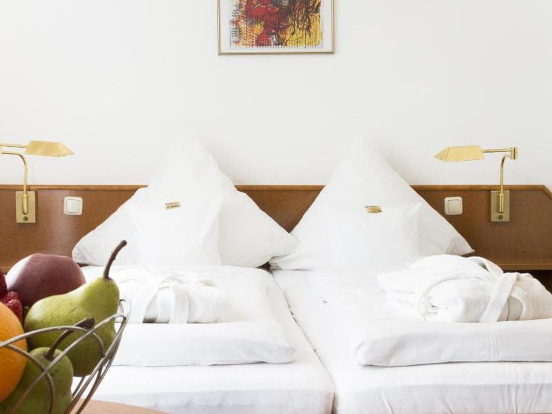 Hotel Roemerstein main