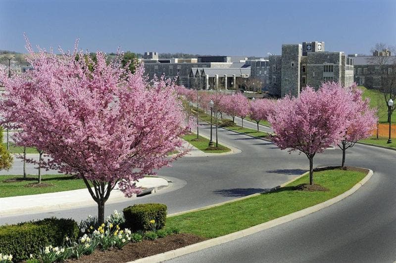 The Inn At Virginia Tech And Skelton Conference 2