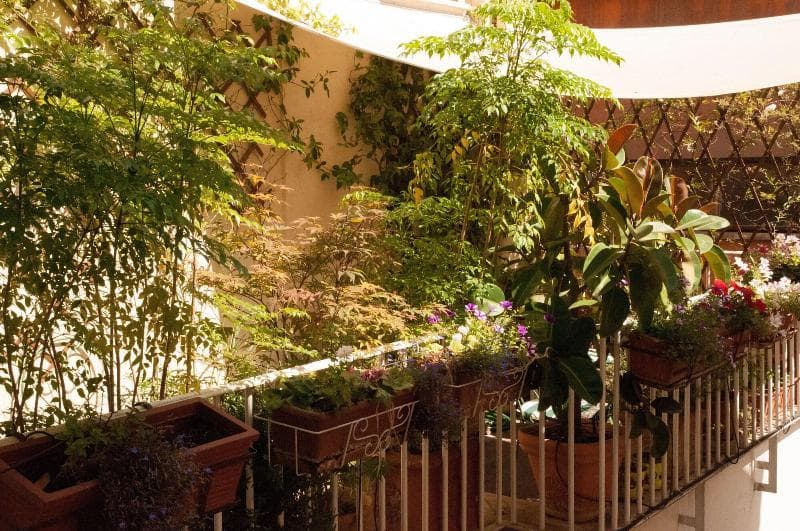 Relais Teatro Argentina 3