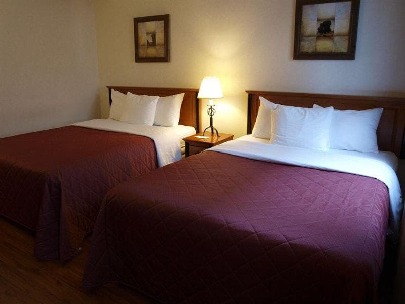 Hotel St - Denis photo 1