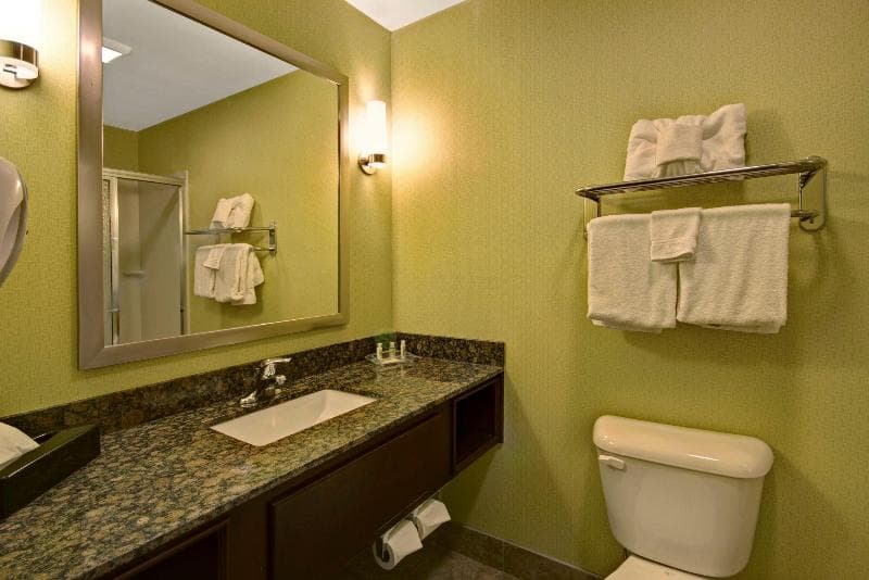 Holiday Inn Christiansburg Blacksburg 5