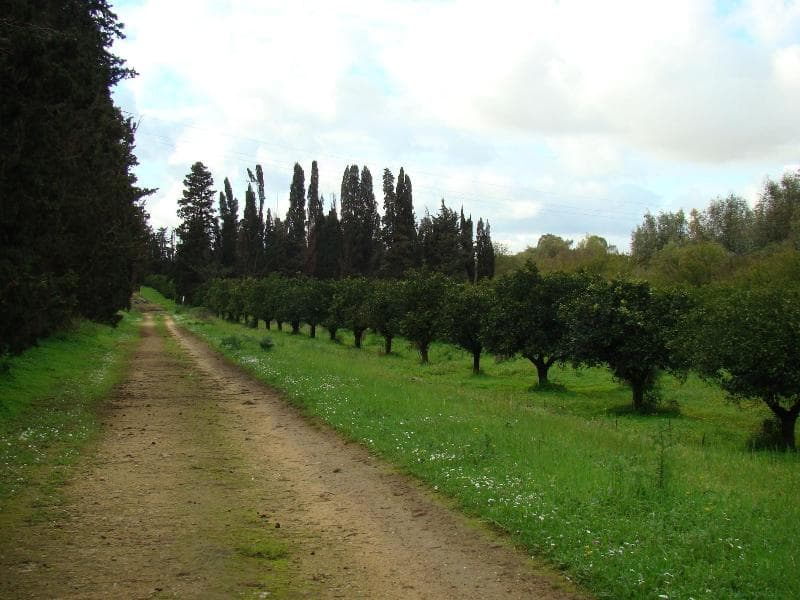 Case Di Latomie 2
