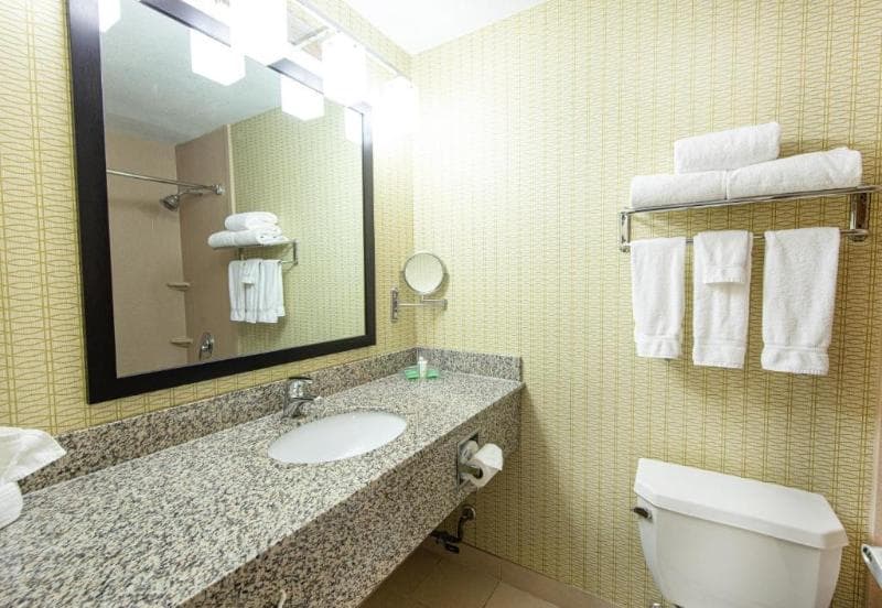 Holiday Inn St. Louis Arpt West-Earth City 4