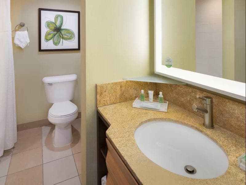 Holiday Inn San Jose - Silicon Valley 3