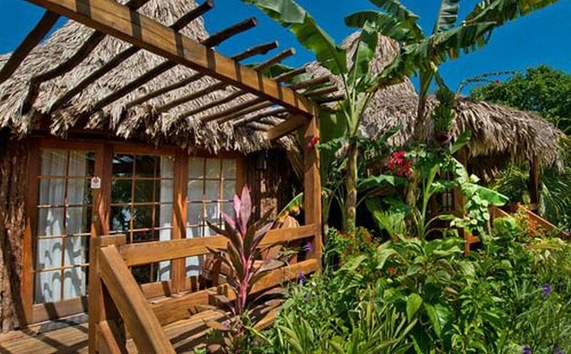Ramon's Village Resort 5