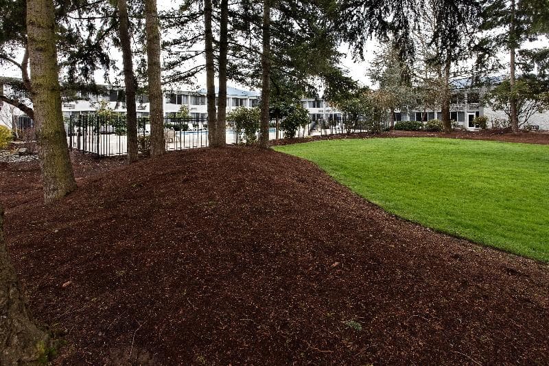 Holiday Inn Seattle-Issaquah 5