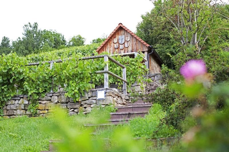 Hotel Restaurant Lamm Hebsack photo 1