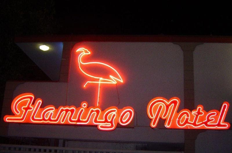 Flamingo Motel main