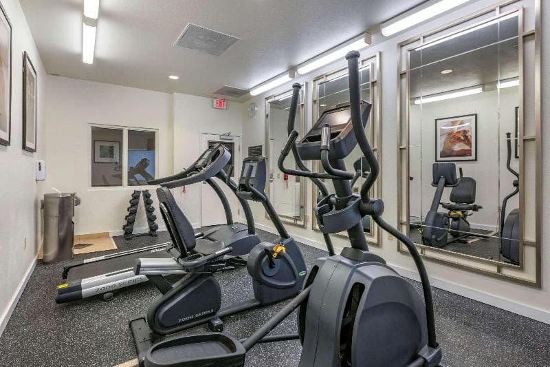 Comfort Inn & Suites Port Charlotte-Punta Gorda photo 1