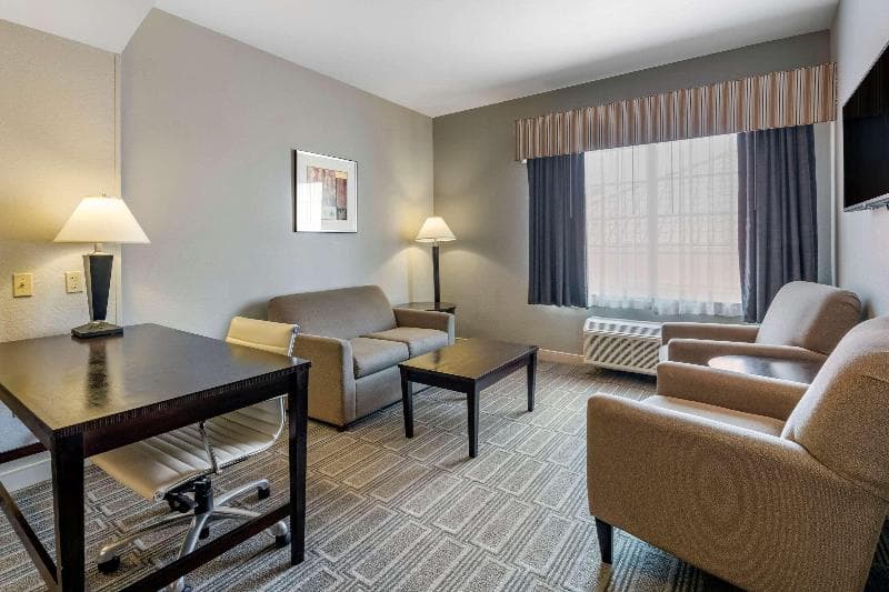 Comfort Inn & Suites Port Charlotte-Punta Gorda 5