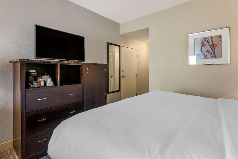 Comfort Inn & Suites Port Charlotte-Punta Gorda 4