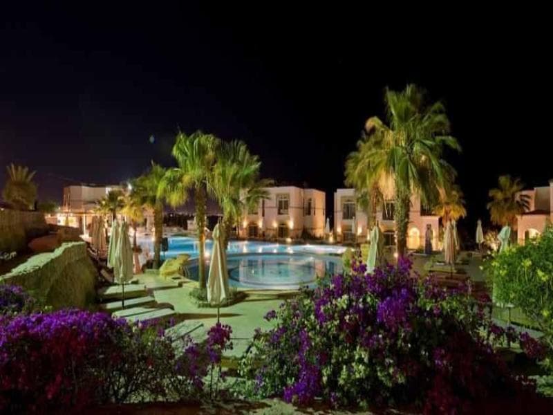 Amphoras Blu photo 1