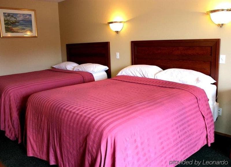 Alpine Motel 5