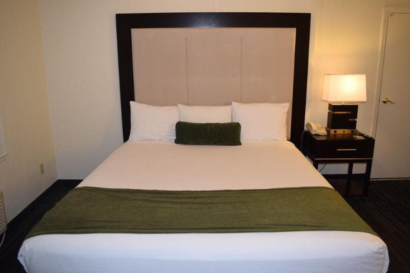 Arena Hotel photo 1
