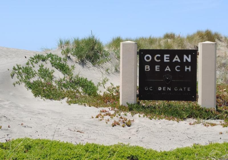 Beach Motel photo 1
