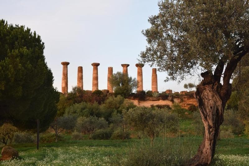 Kolymbetra 2