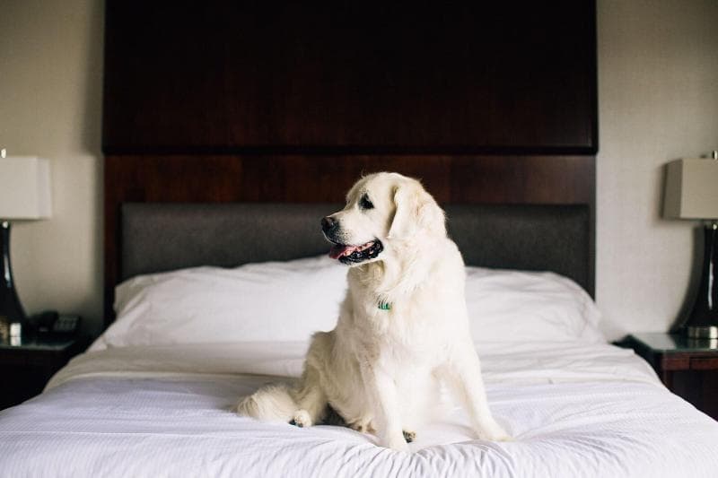 The Westin Seattle 2