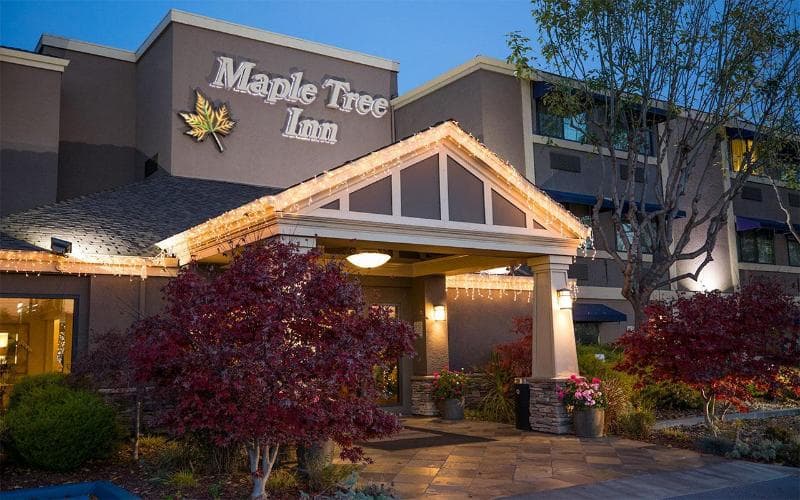Maple Tree Inn photo 1