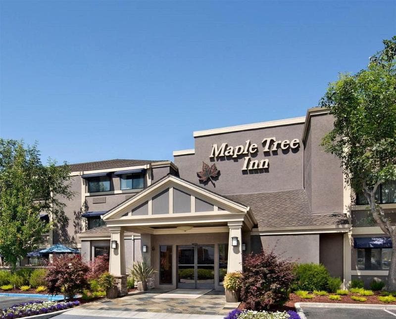 Maple Tree Inn 3