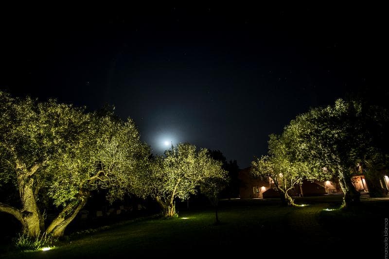 Masseria degli Ulivi 5