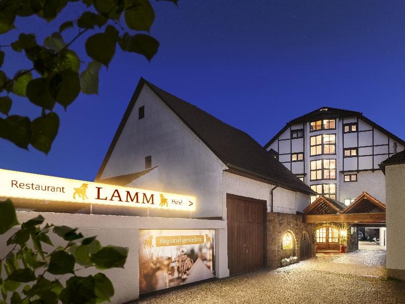 Lamm 2