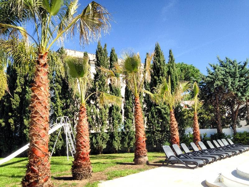 Le Palme photo 1