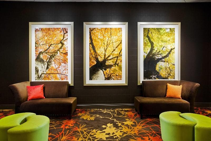 Sheraton Springfield Monarch Place Hotel 5