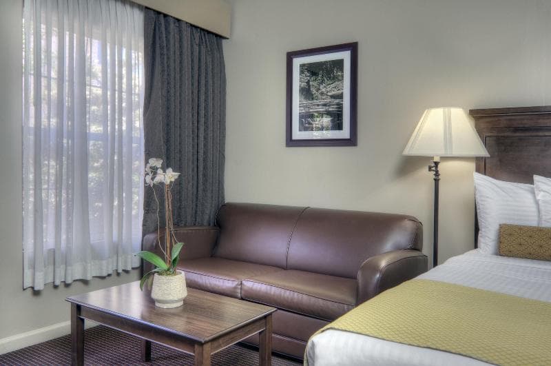 University Park Inn & Suites 3