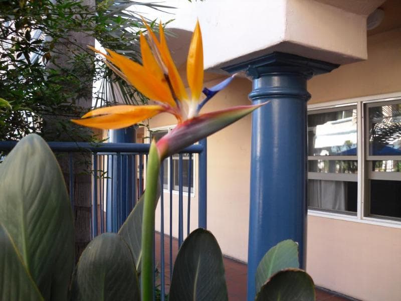 Tamarack Beach Resort Hotel 3