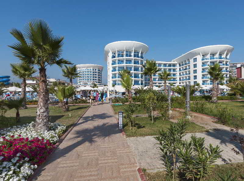 Sultan Of Dreams photo 1