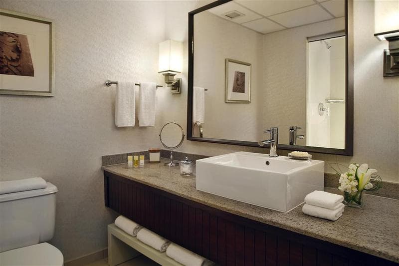 Drury Plaza Hotel St. Louis at the Arch 2