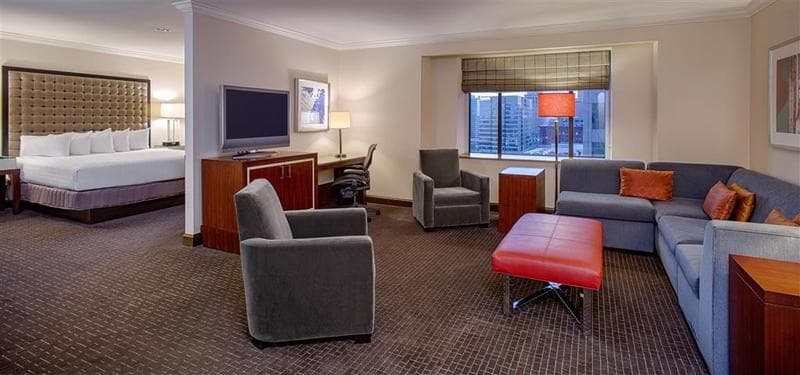 Drury Plaza Hotel St. Louis at the Arch 4