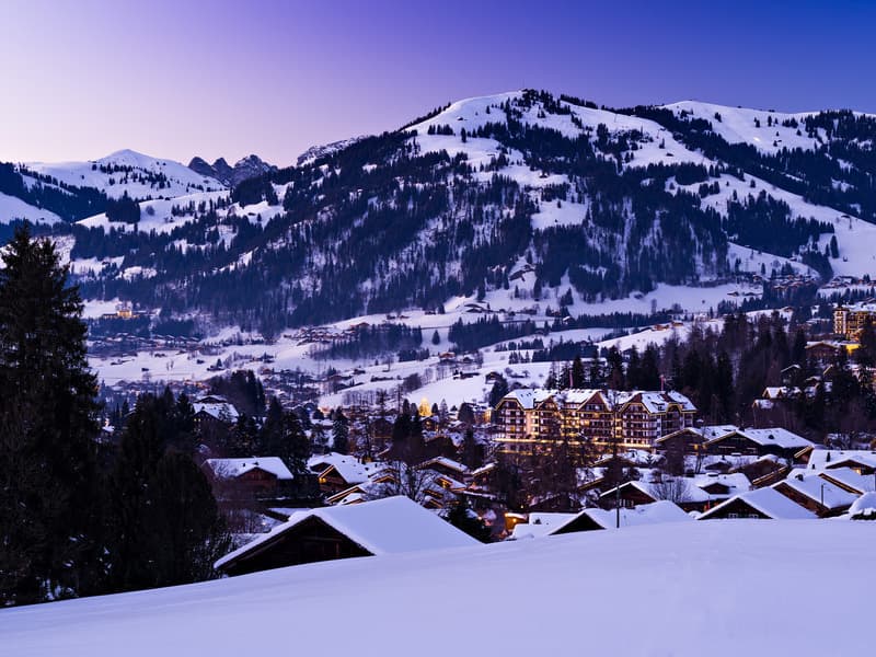 Park Gstaad 2
