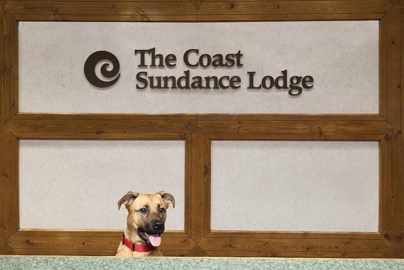 Sundance Lodge 4