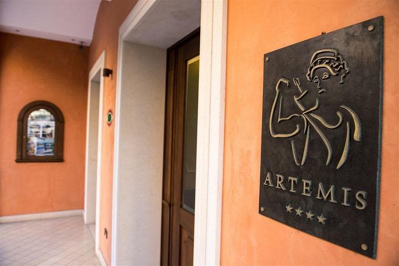 Artemis photo 1