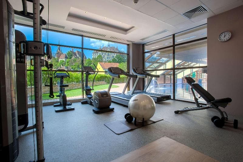 Doubletree By Hilton Sighisoara - Cavaler 3