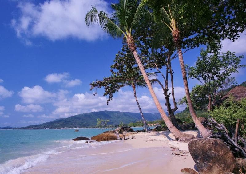 Lamai Bay View Resort main