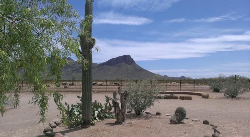 White Stallion Ranch 3