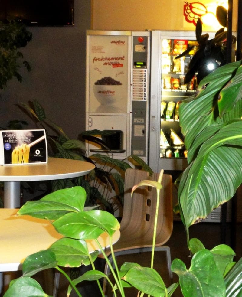 Hotel Kyriad Toulouse Sud Roques 3