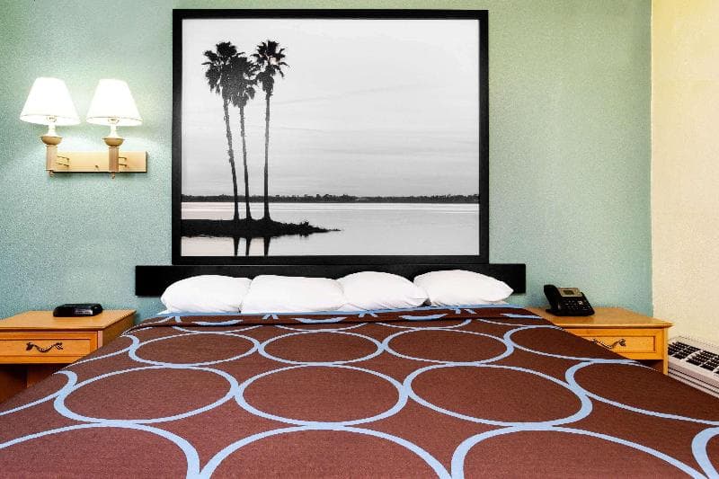 Super 8 By Wyndham St. Augustine 3