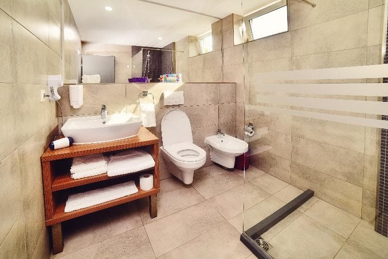 Hotel President Timisoara 5
