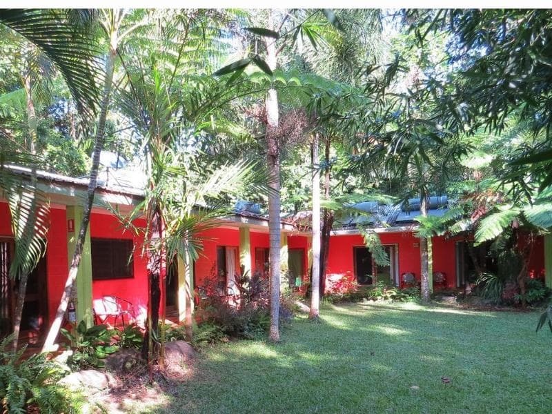 Daintree Rainforest Retreat 3