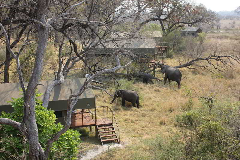 Nkasa Lupala Tented Lodge 4