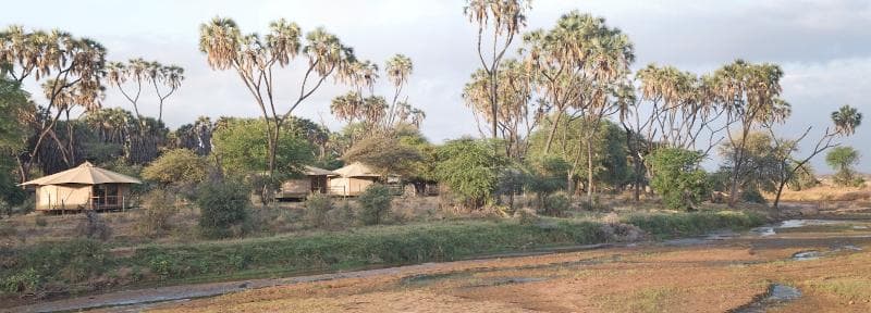 Ashnil Samburu Camp 5