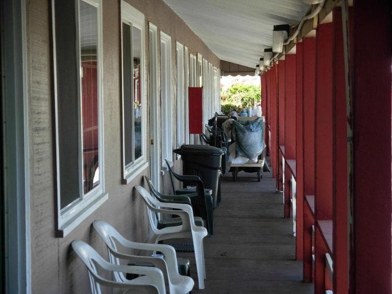 Jumping Frog Motel 5