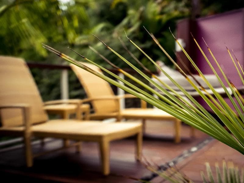 Sanctuary Palms (Adults Only) 1